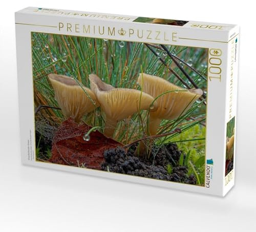 CALVENDO Puzzle Ampulloclitocybe clavipes 1000 Teile Puzzle quer | Lege-Größe cm Foto-Puzzle für glückliche Stunden