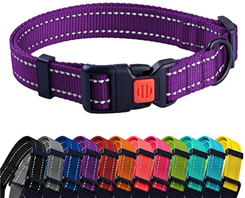 CollarDirect Kleines Hundehalsband mit Metallschnalle, Nylon, reflektierend, Welpenhalsband, verstellbar, 8 Farben (Halsumfang 17,8-27,9 cm, Lila)
