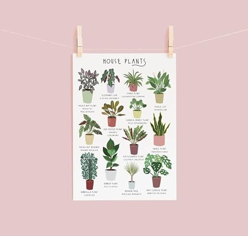 Yelacecca House Plant Poster House Plant Plants Poster House Plant Identification Botanical Plant Lady Plant Lover Gift Funny Gift Metal Signs 8X12 Inch