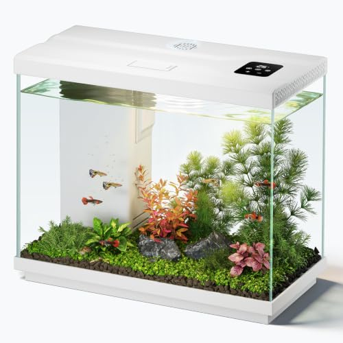 EVIEUN Kleines Aquarium Komplettset