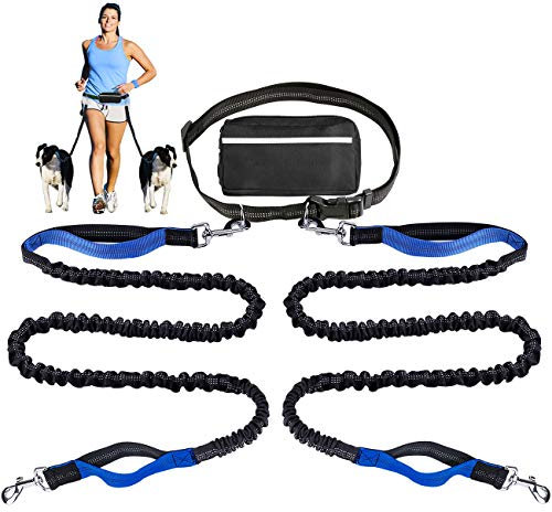 Hundeleine für Laufen, Spazierengehen, Training, Wandern, Doppelgriff, reflektierender Bungee, Kotbeutelspender, stoßdämpfend, ideal für mittelgroße bis große Hunde (für 2 Hunde)