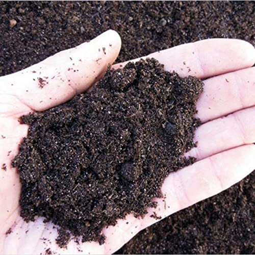 Italy Green Life - Terriccio per Piante Grasse e Succulente BIO da 10/20/30 Litri - Terriccio Biologico da 10/20/30 LT (30 Litri)