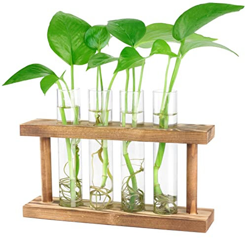 Desktop-Pflanzen-Terrarium, Anzuchtstation, 4 Reagenzgläser, Übertopf, Tisch-Glas-Pflanzgefäß, Vase mit Holzständer für Hydrokulturpflanzen, Heimbüro, Tischdekoration