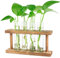 Desktop-Pflanzen-Terrarium, Anzuchtstation, 4 Reagenzgläser, Übertopf, Tisch-Glas-Pflanzgefäß, Vase mit Holzständer für Hydrokulturpflanzen, Heimbüro, Tischdekoration