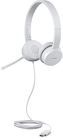 Lenovo 110 - Auricolari stereo analogici (isolamento di rumore, microfono a braccio girevole, orecchie di cuoio e schiuma con masoria) Certificazione Work with Chromebook di Google - Grigio Nube