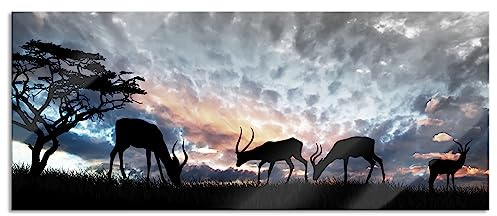 Pixxprint Glasbild Panorama, Wandbild aus Echtglas, Tiere in der Natur, 120x50 cm, inkl. Aufhängung und Abstandshalter