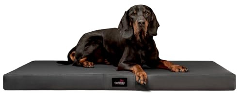 tierlando® Orthopädische Hundematratze Alice Easy CLEAN Kunstleder Visco-Hundematte Größe: 100x80cm | Farbe: 02 Graphit