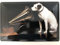 Blechschild 20x30cm gewölbt His Master´s Voice Hund Retro Deko Geschenk Schild