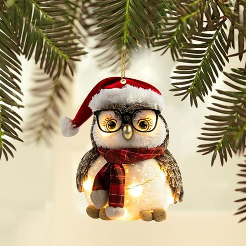 Niedlicher Eule Weihnachtsbaum Anhänger, Lustiger Christbaumschmuck, Weihnachten Acryl Tier Dekor Weihnachtsbaumschmuck 2D Anhänger Eule Waschbär Weihnachtsbaum Anhänger Weihnachtsdeko