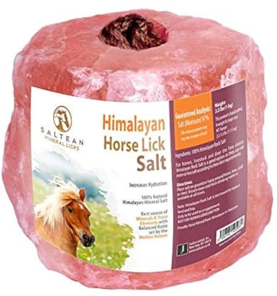 SALTEAN - Sale rosa naturale da leccare per cavalli, forma naturale con forte corda per appenderlo, adatto a tutti gli animali, blocco di sale del Pakistan da 1 kg