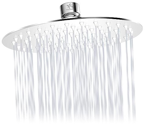 Welan Duschkopf Regendusche,25CM Regendusche Duschkopf 304 Edelstahl Runde Duschkopf Regenbrause mit Antiblockierendes Kieselgel