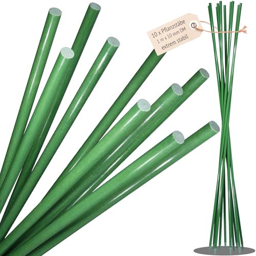 10 x sehr stabile Pflanzenstütze 1 m x 10 mm, Staudenhalter, Pflanzenhalter, Blumenhalter, Pflanzen Stütze, Pflanzenstützen, Pflanzenringe, Blumenstütze, Pflanzstütze, Plant Support