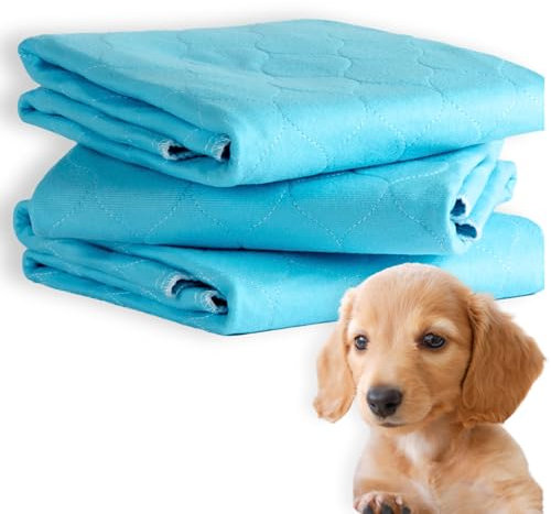 PET IMPACT Washable Puppy Pads, Premium Reusable Dog Pee Pad, Puppy Mats for House Training, Machine Washable LARGE 3-Pad Box (Sky Blue, 32x24)