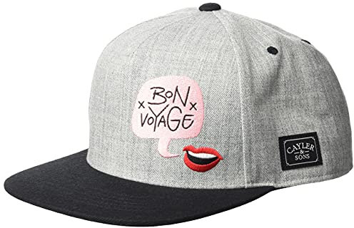 Cayler & Sons Unisex CS2629-C&S WL Bouble Voyage Cap Baseballkappe, Heather Grey/mc, one Size
