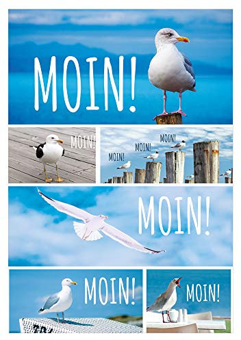 KE - Exklusive Maritim Geburtstagskarte im DIN B6 Format, inklusive Umschlag - Perfekte Klappkarte für Geburtstagsgrüße - Motiv: Moin!