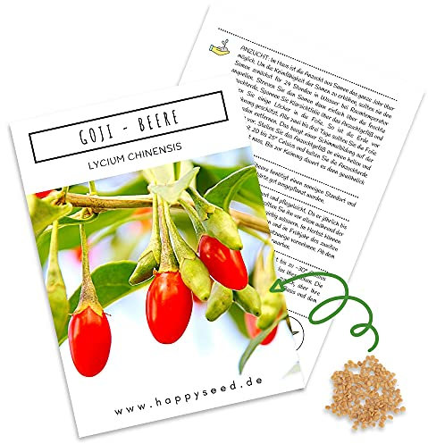 Goji Beeren Samen (Lycium chinense) - Vitaminreiche, rote Wolfsbeeren ideal für die Anzucht im Garten, Balkon oder Terrasse