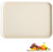 XUKZIMA Bandeja de Plástico Duro, No Deslizante, Rectangular para Servir Comida Rápida, Ideal para Desayuno y Pequeñas Bandejas de Plastico