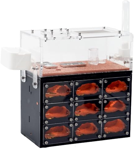 Ant Farm with LED Lights – 3-Layer Ant Nest with Natural Tunnels – Large Viewing Habitat for Ants – Educational Ant House