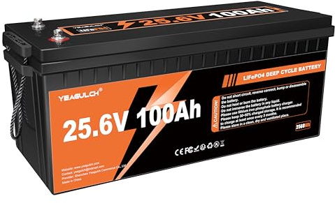 Yeagulch 24V 100Ah Batteria al Litio LiFePO4, BMS 100A, 2560Wh | 15000 Cicli, per Sistemi Solari, Camper, Accumulo Domestico Off-Grid