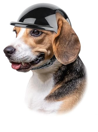 Enjoying Helm für Hunde Motorradhüte mit Ohrlöchern Hundehelm Hund Harte Hut Sicherheit Reiten für Mittelgroßer Hund, Mittlere
