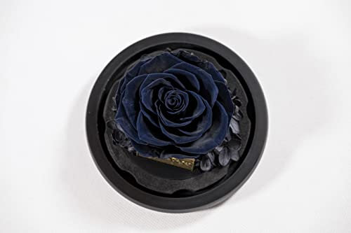 YourRoses® echte Premium Rose im Glas mit einer wunderschönen Geschenkbox | Lange Haltbarkeit & edles Geschenk als Liebesbeweis | ein Geschenk vom Herzen Schwarz