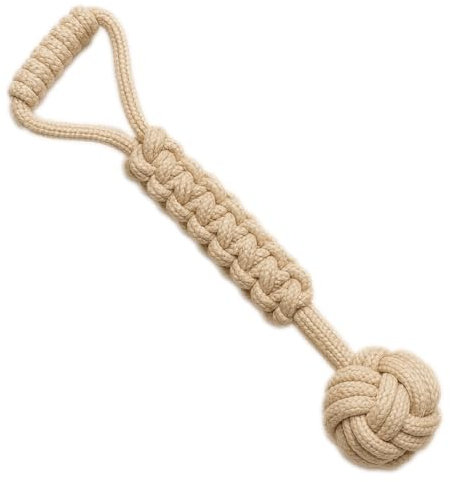 Mythonic Rex the Green Dinosaur Dog Rope Toy (25cm) - Durable & Fun for Medium to Large Breeds - Natural Cotton, Promotes Dental Health (Chicken Leg)