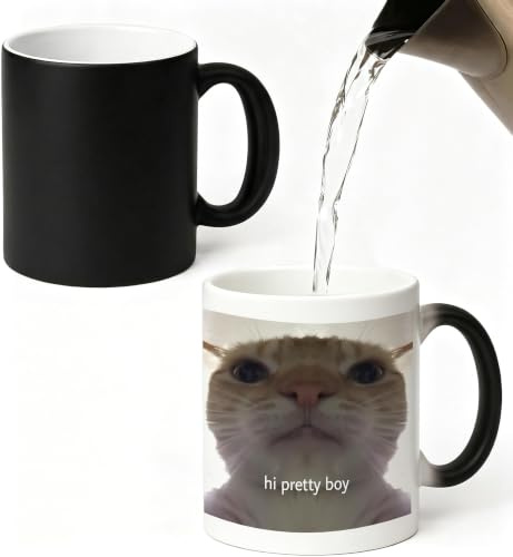 Mug Magique Cadeau Pour Ami Humour Tasse Qui Change De Couleur Idee Cadeaux | Chaleur Idee Cadeaux Anniversaire pour Homme Collègue Meilleure Amie Collegue Mugs Drole Tasses a Cafe Cappuccino Ceramique
