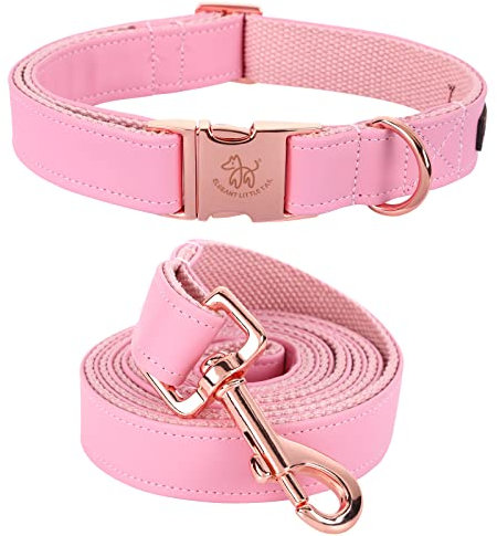 Elegant little tail Collier et laisse en cuir rose durable pour chien - Collier réglable pour chien - Pour chien de taille moyenne - 34 à 55,88 cm