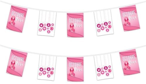 COTILLONS D'ALSACE Guirlandes - Octobre Rose - 2.5 m - Lot de 2