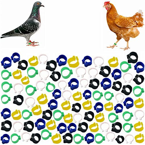Kiwochy GeflüGel FußRinge 100 StüCk 10mm TaubenfußRingHähnchen Beinringe KleingeflüGel Klemmringe Taubenring BrieftaubenfußRing für Enten Küken Huhn Meertauben Wildge Flügel 5 Farben
