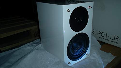 Pioneer S-P 01 LR (Stückpreis)