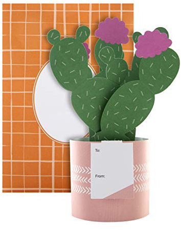 Hallmark Biglietto pop-up – Design contemporaneo con cactus
