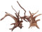 MYBOON Bois Tronc Naturel Bois flotté Arbre Aquarium réservoir de Poissons Plante décoration Ornement Aquarium Paysage