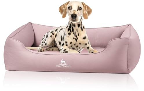 Knuffelwuff orthopädisches Hundebett Oliver, M-L - Rosa | Easy Clean Wildlederoptik | Memory Foam | wasserabweisend waschbar | gelenkschonend robust für kleine bis große Hunde