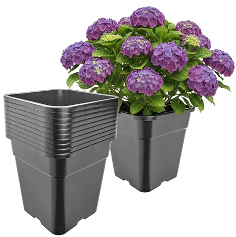 Garronda Pflanztopf Kunststoff hoch 30,5 x 30,5 x 31 cm (18L) 10er Set eckig mit Drainagelöchern Blumentopf PP Pflanzgefäß für Garten Gewächshaus Balkon Anzucht Innen Außenbereich Schwarz GD-0201