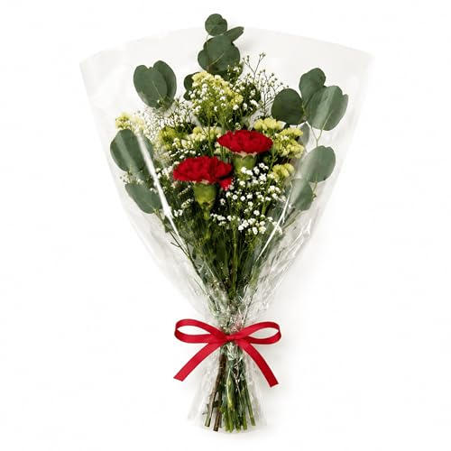 Ramo de Flores Frescas Naturales | Bouquet Variado con Claveles Rojos | Preparación Artesanal | Ideal para Regalo, Detalle Romántico, Decoración y Eventos
