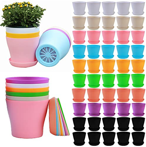Lot de 50 Petits Pots Jardinière Herbes Aromatiques en Plastique de 10,2 cm avec Trous de Drainage pour Plantes Grasses, Cactus, Violet Africain