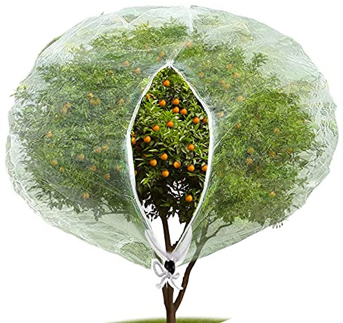 Großes Gartennetz, Pflanzennetz mit Reißverschluss, Gartennetz, Pflanzenabdeckung zum Schutz von Pflanzen, Früchten, Blumen vor Insekten, Vögeln, Obstbaum, für Vögel (2,4 x 2,4 m)