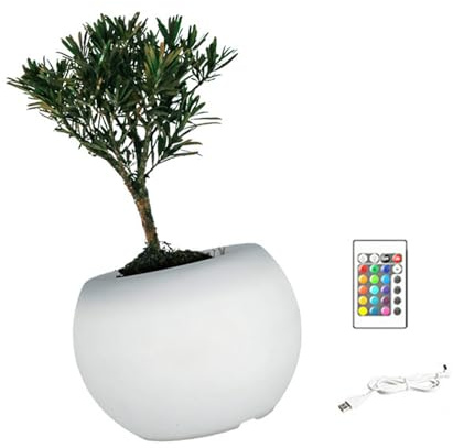 ZYMIADOU Farbwechselnde LED-Pflanztöpfe für Sukkulenten, Innenbereich, Gartenarbeit und Heimdekoration, mit beleuchtetem Sockel, dekorativer LED-Blumentopf für den Innenbereich