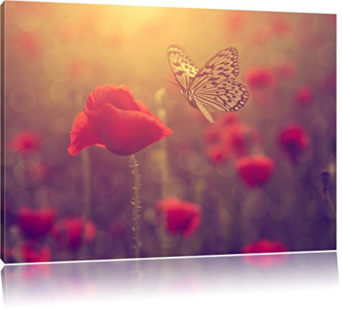 Coquelicots et Papillon Photo sur Toile | Taille: 100x70 cm | Peinture Murale | Art Print | prêt Couvert