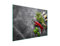 TMK ArtDeko Herdabdeckplatte 70x52 cm 1-teilig Ceranfeldabdeckung Induktion Herdschutz Spritzschutz Glasplatte Deko Schneidebrett, Chili