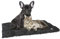 Croci Tappetino Auto-Riscaldante per Cani e Gatti, Tappeto termico isolante senza elettricità, Nero, 48x38 cm