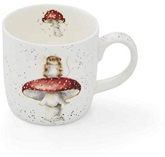 Wrendale Designs - Tazza con scritta in inglese He's A Fun-Gi