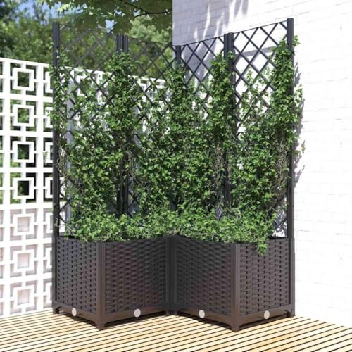 Generico Fioriera da Giardino con Graticcio Nero 80x80x136 cm in PP,Nero,11.85kg,318275