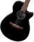 Ibanez AEG50N BK Nylon String - 4/4 Konzertgitarre