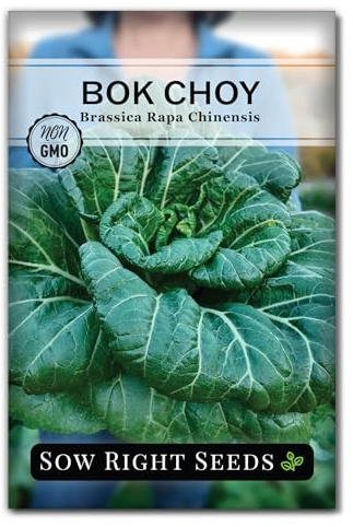 Sow Right Seeds - Bok Choy Seeds for Planting - Pak Choi or Chinese Cabbage - Non-GMO Heirloom Variety - Fresh Asian Greens in Your Home Vegetable Garden - Grow Outdoors or Indoors in Hydroponics (1)