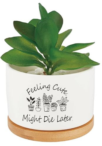 CRASPIRE White Ceramics Planters Funny Succulent Plant Pot Cactus Flower Grow Pots Drainage for Indoor Outdoor Plants Windowsill Desk Decor Unique Planter Gift Feeling Cute Might Die Later (No Plants)