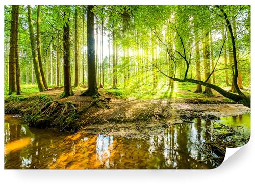 Fototapete Wald Grün Vlies - Vliestapete Tapete Wandtapete Motivtapeten Vliestapeten Wohnzimmer Schlafzimmer Bildtapete Natur Landschaft Baum Nebel Baumstamm Waldsee 208x146cm