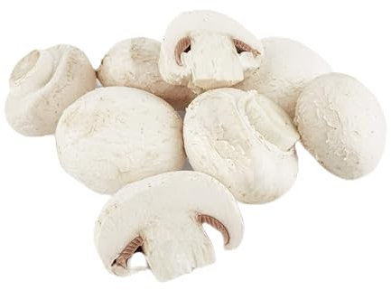 Ecoshirt 8K-SH0W-0EF8 Aufkleber Sticker Fork Rock Shox Boxxer Am45 Aufkleber Decals Autocollants Adesivi Forcela Gabel Fourne, Grün