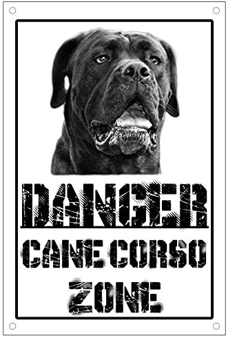 CARTELLO ATTENTI AL CANE - Danger CANE CORSO zone - Con Adesivo in Vinile e Pannello in Forex (Pannello 5mm Stampato)